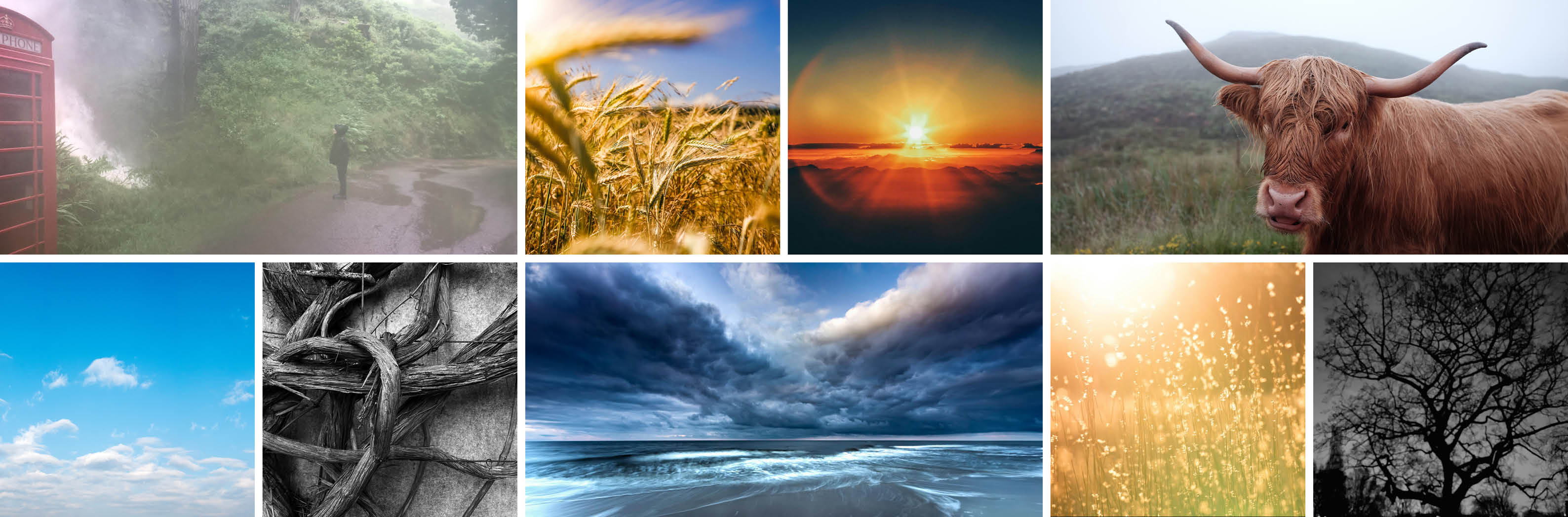 Grid of photographs showing rural Scotland in various weather and lighting conditions