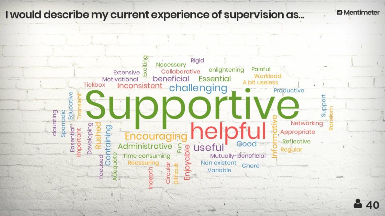 wordcloud of experience
