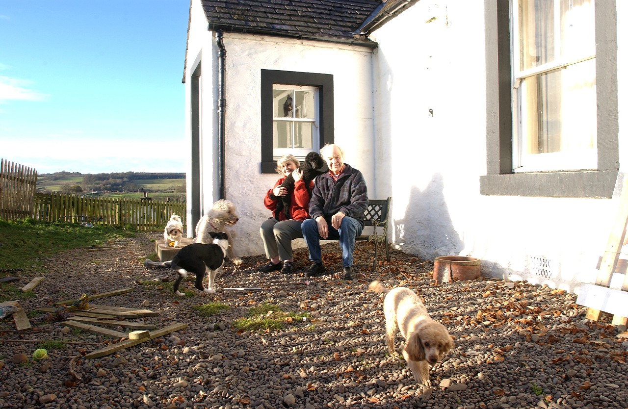 older couple sitting on bench with dogs