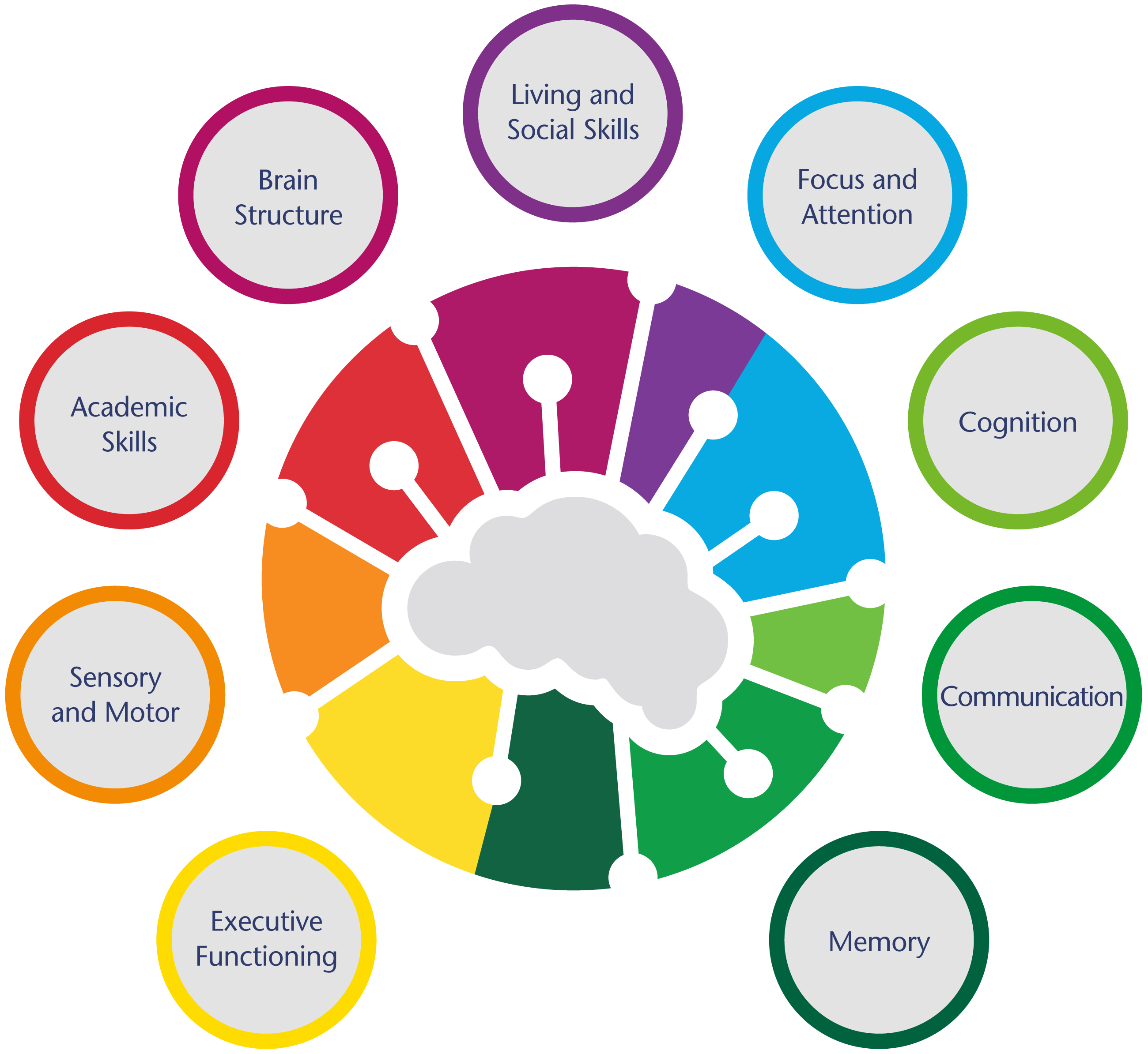 Brain structure showing breakdown of cognitive abilities