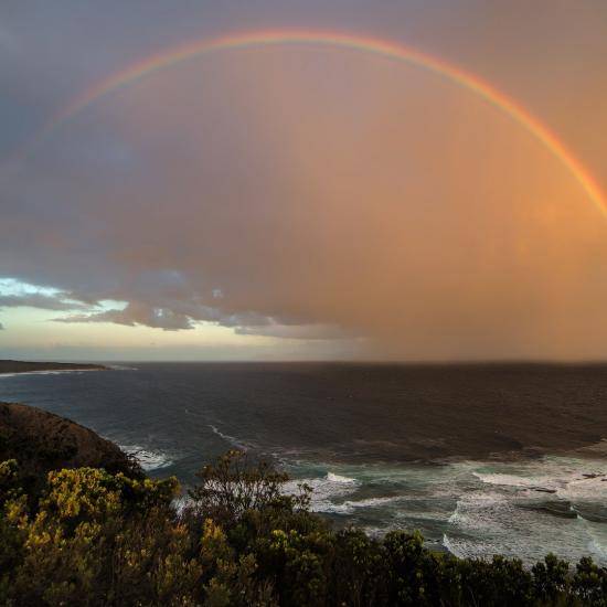 Rainbow image by Cindy Lever from Pixabay 