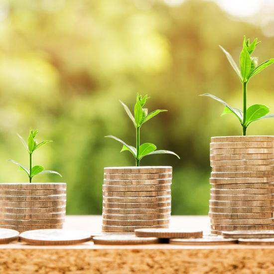 Image of stacked rows of coins with flower buds on top by Nattanan Kanchanaprat from Pixabay
