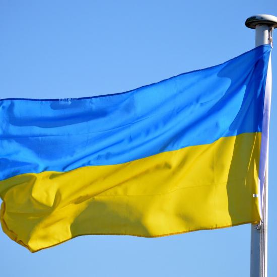 Ukraine flag