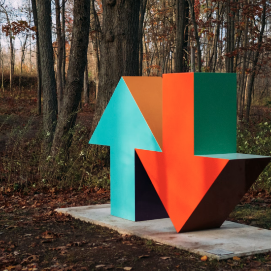 Image of coloured arrows in a forest