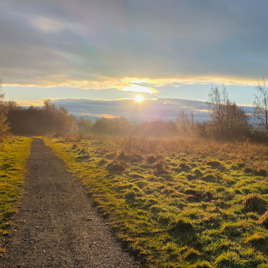 a path through a field as a sun rises in the distance