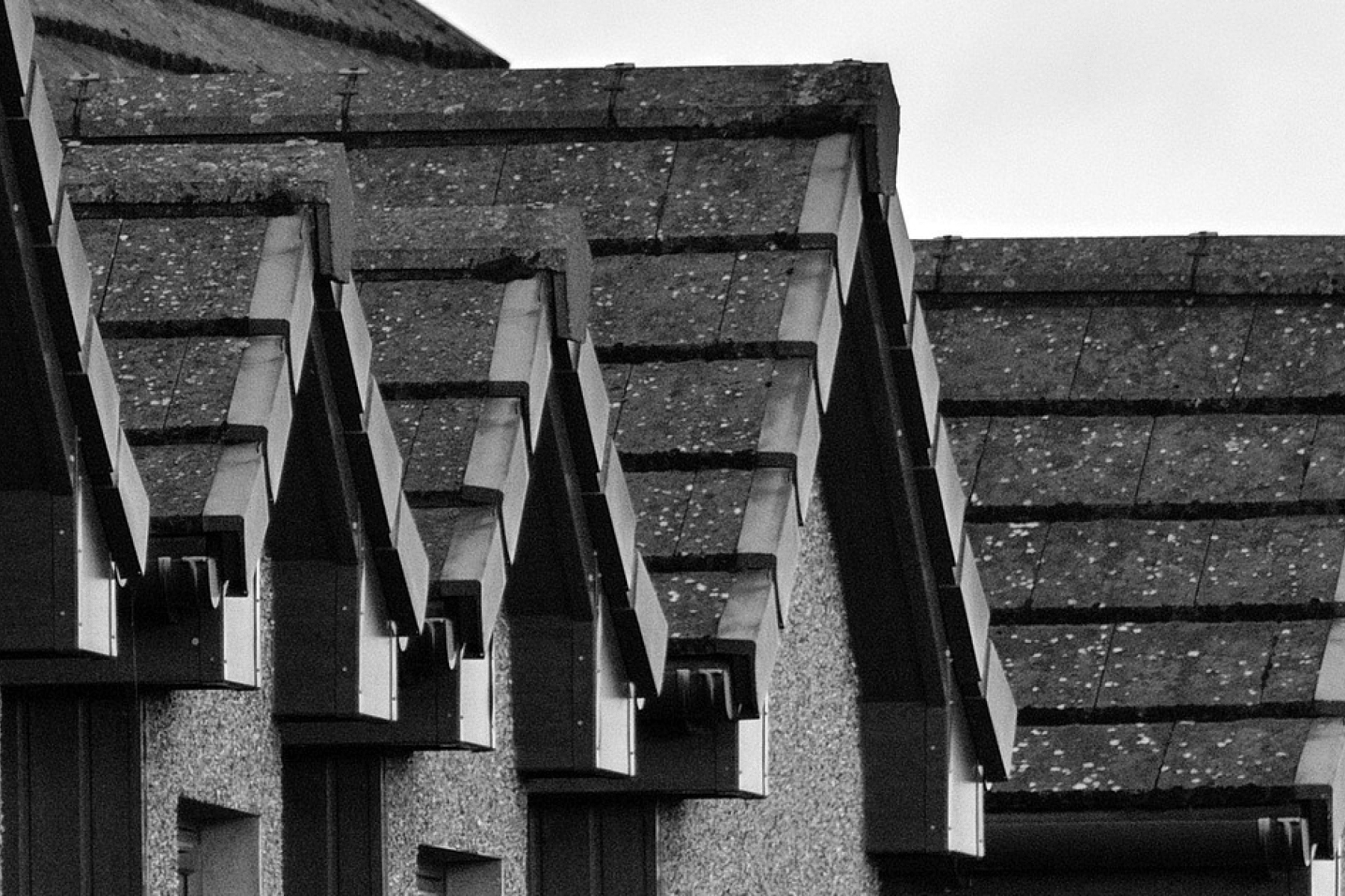 a row of house roofs in black and white
