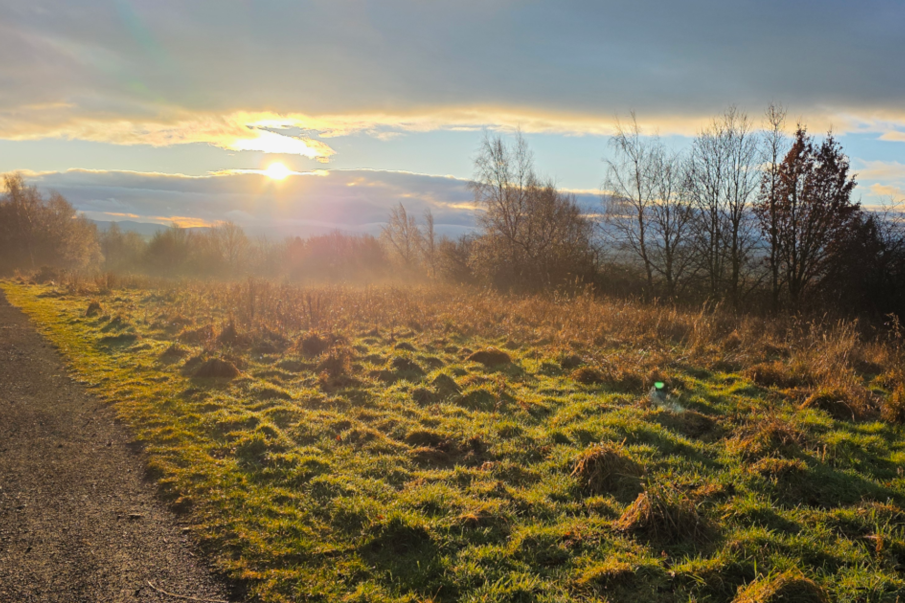 a pa path through a field as a sun rises in the distance