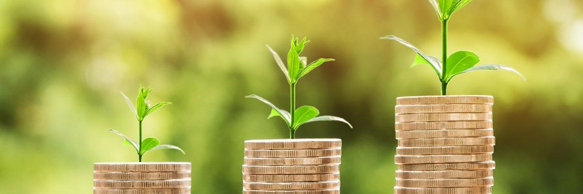 Image of stacked rows of coins with flower buds on top by Nattanan Kanchanaprat from Pixabay 