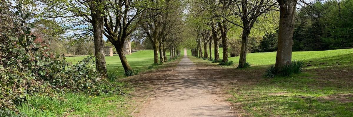 A pathway through a park