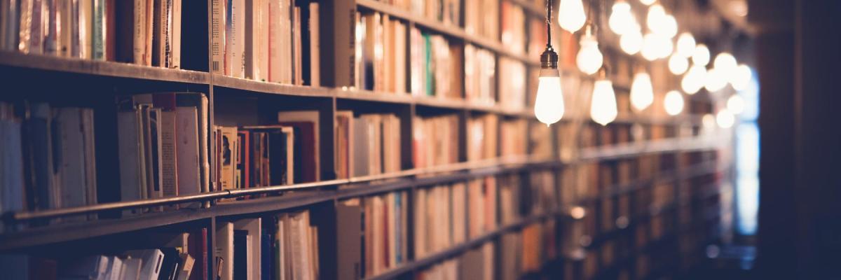 Library bookshelves