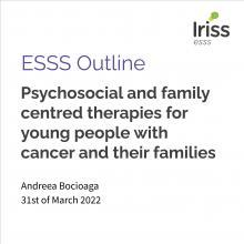 Psychosocial and family centred therapies for young people with cancer and their families