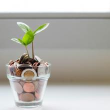 A pot of money with a tree growing from it