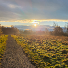 a path through a field as a sun rises in the distance