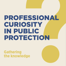 Professional curiosity in public protection