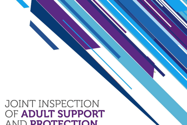 Cover of a Joint Inspection report