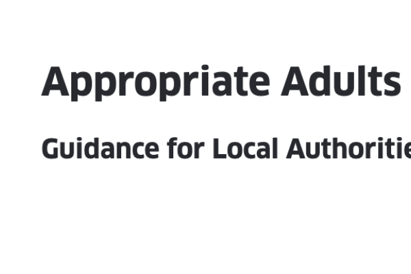 Cover for guidance