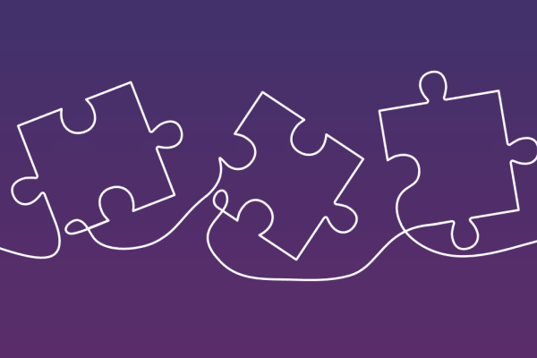 Drawing of puzzle pieces, taken from strategy cover