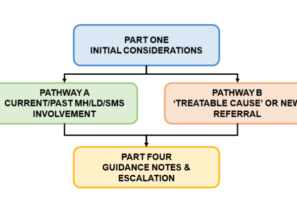 Overview of pathway diagram