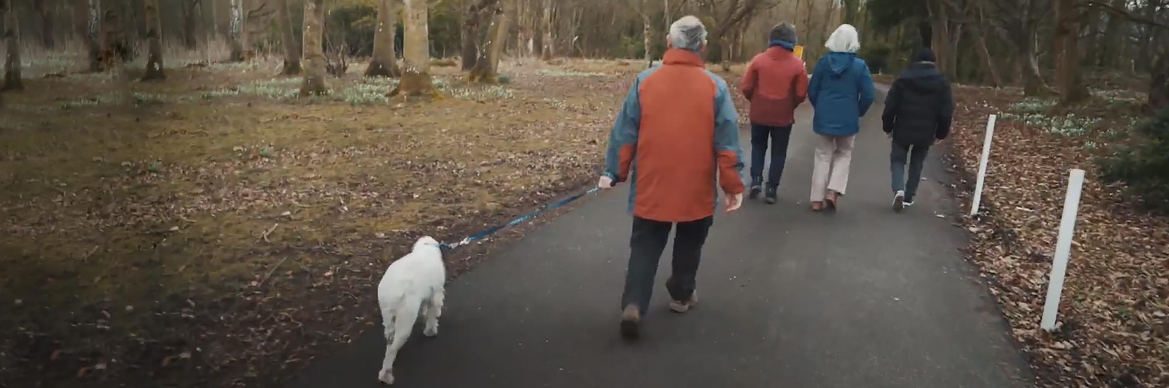 People walking in woods